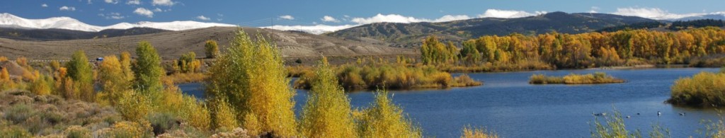 cropped-DSC_0033.jpg
